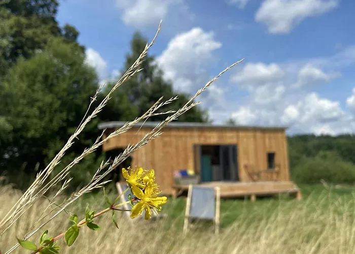 Charming Tiny House In The Meadow